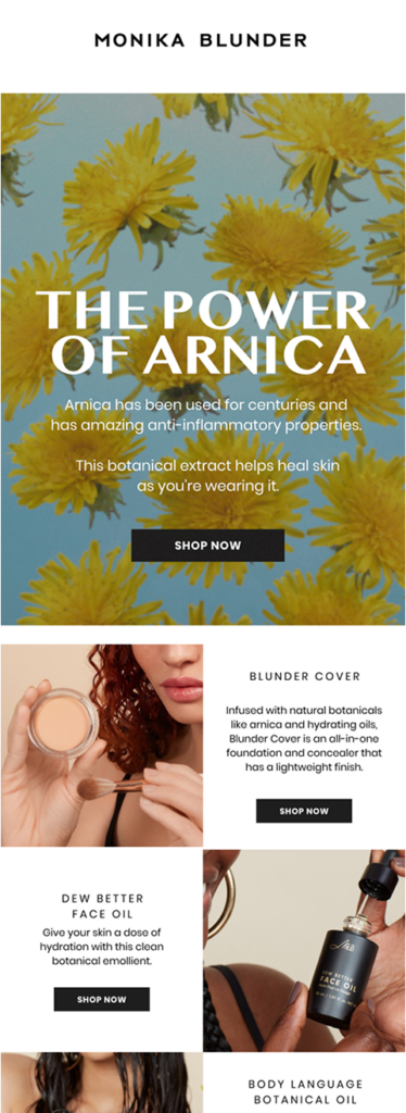 MBB September NL Arnica