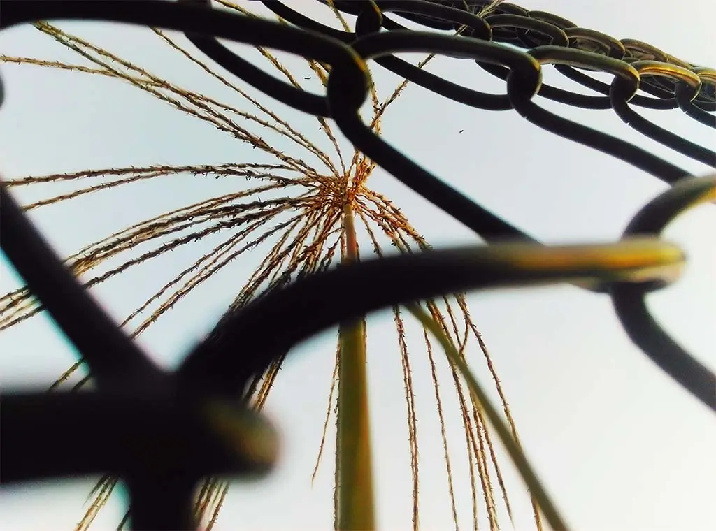 Negative Space in Marketing