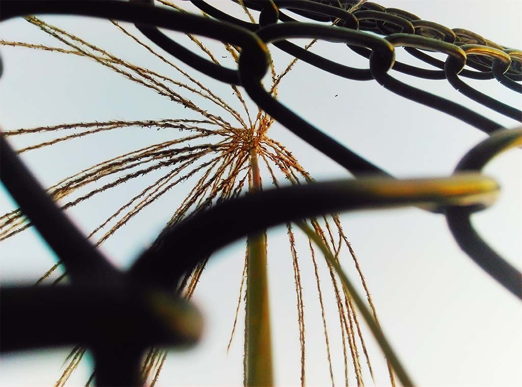 Marketing without experience 