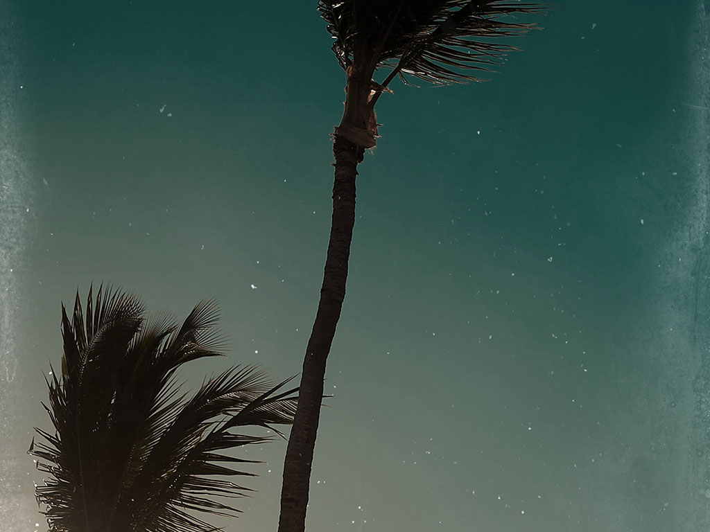 Why Some Brands Break