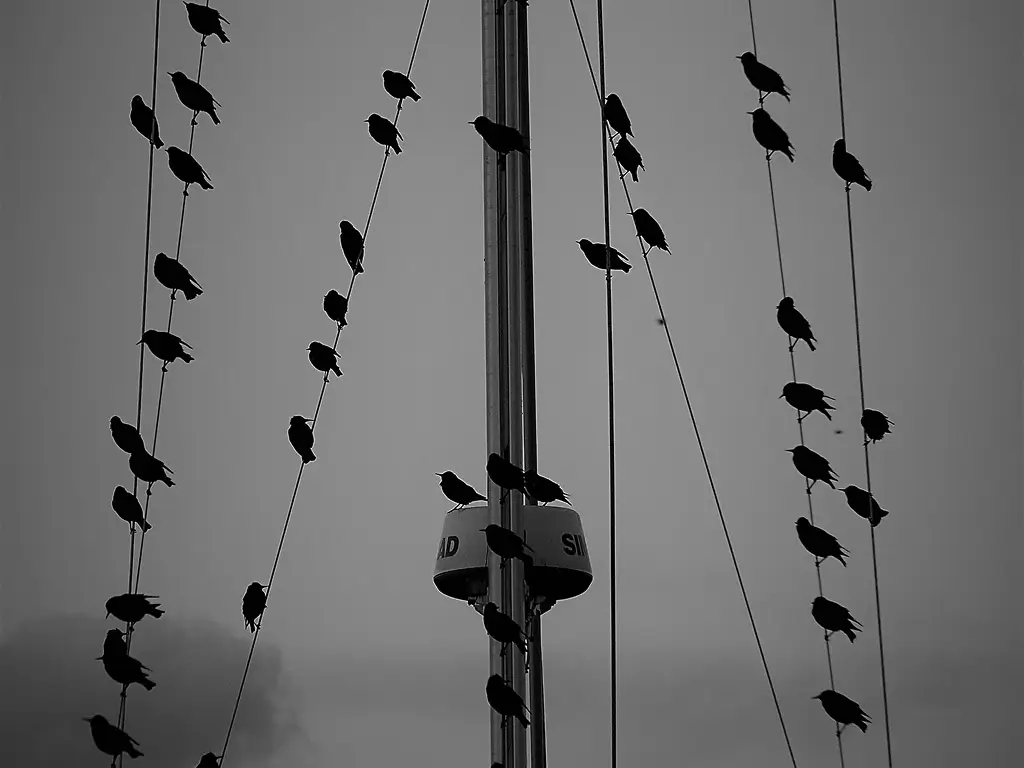 Consumer lifecycle marketing