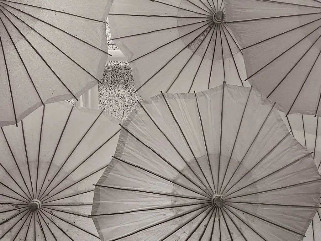 Digital brand ownership