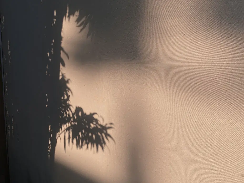 Marketing Strategy vs. Marketing Plan