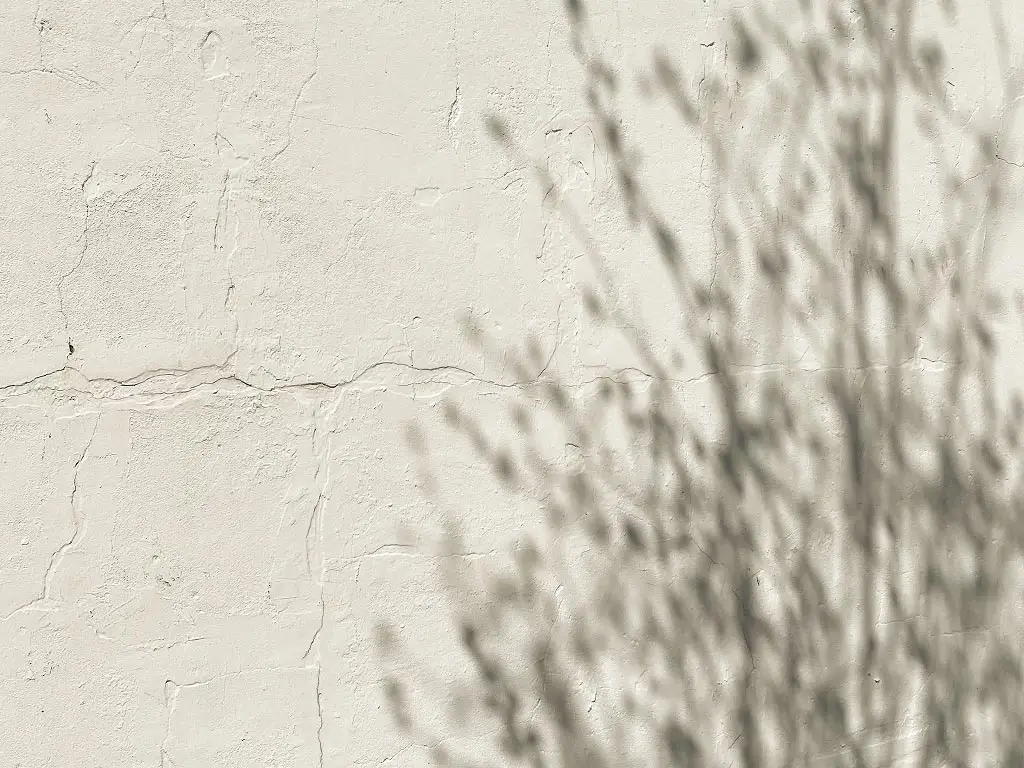 Marketing in Valentine’s Day