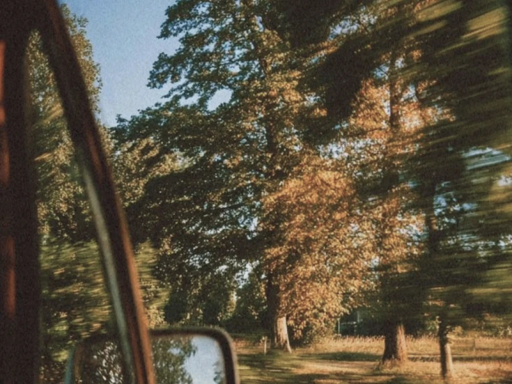 business growth strategy