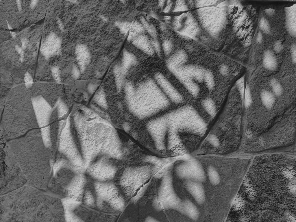 execution in business