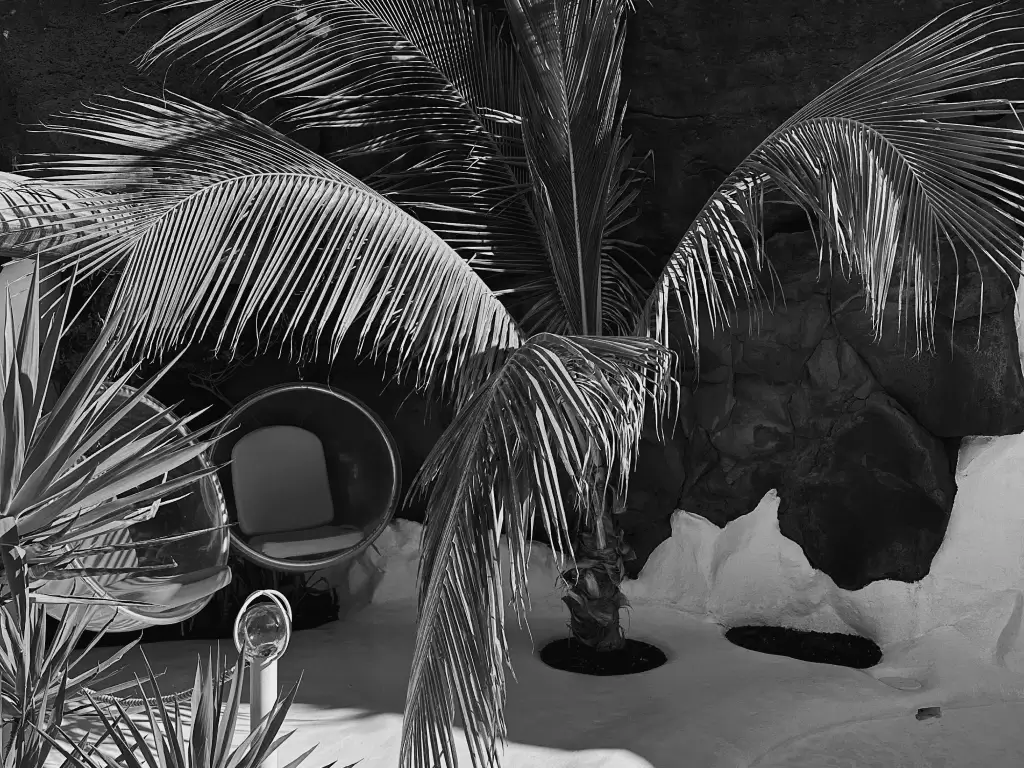 product packaging design