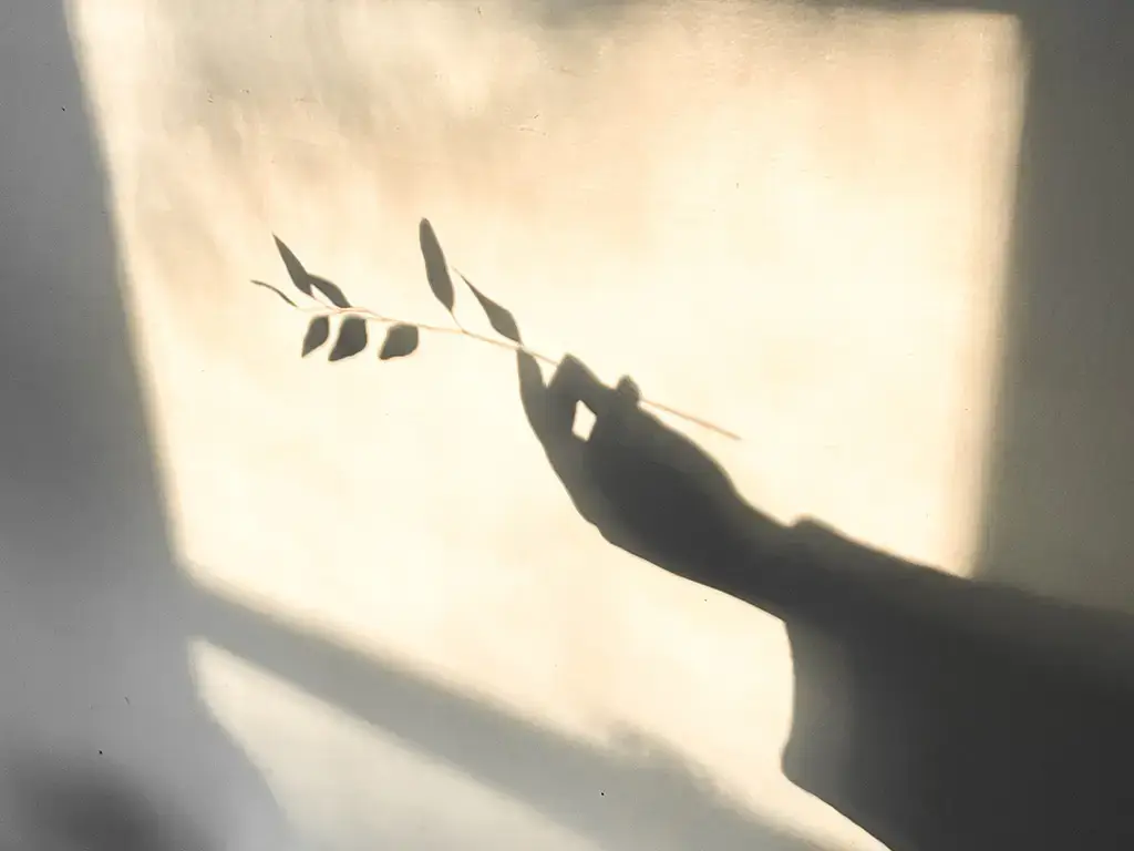 Silhouette holding a tree branch symbolizing growth, visibility, and organic search success